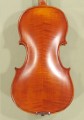 3/4 Gems 2 Intermediate Violin - Antique Finish - Code B4438V