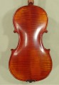 7/8 Gliga Maestro Violin - Antique Finish - Code B5272