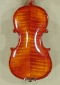 1/16 Gama Professional Violin - Antique Finish - Code B4477