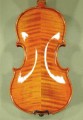 1/16 Gama Professional Violin - Code A5603