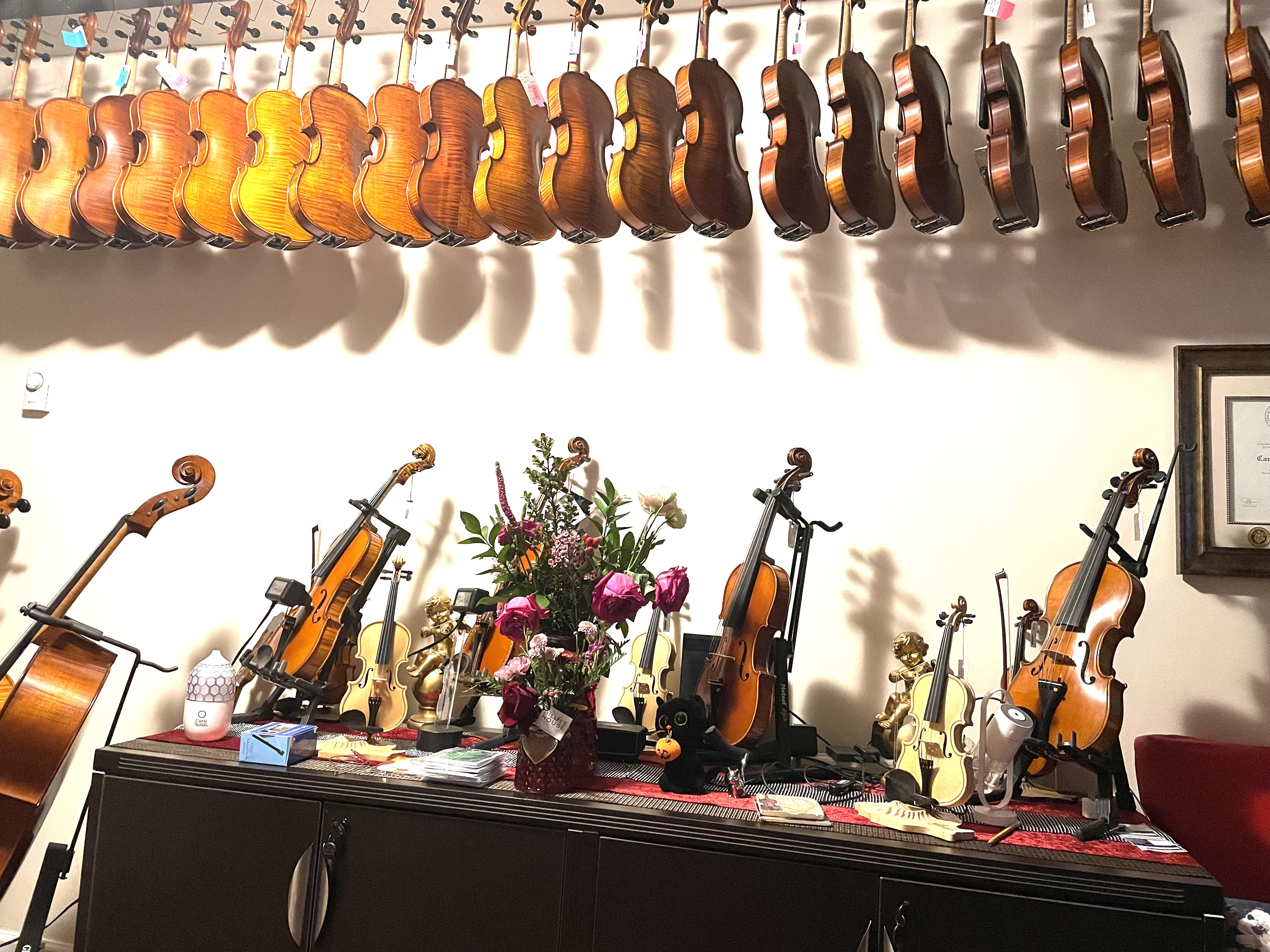 Where to buy a violin?  Visit our violin store in person or buy online